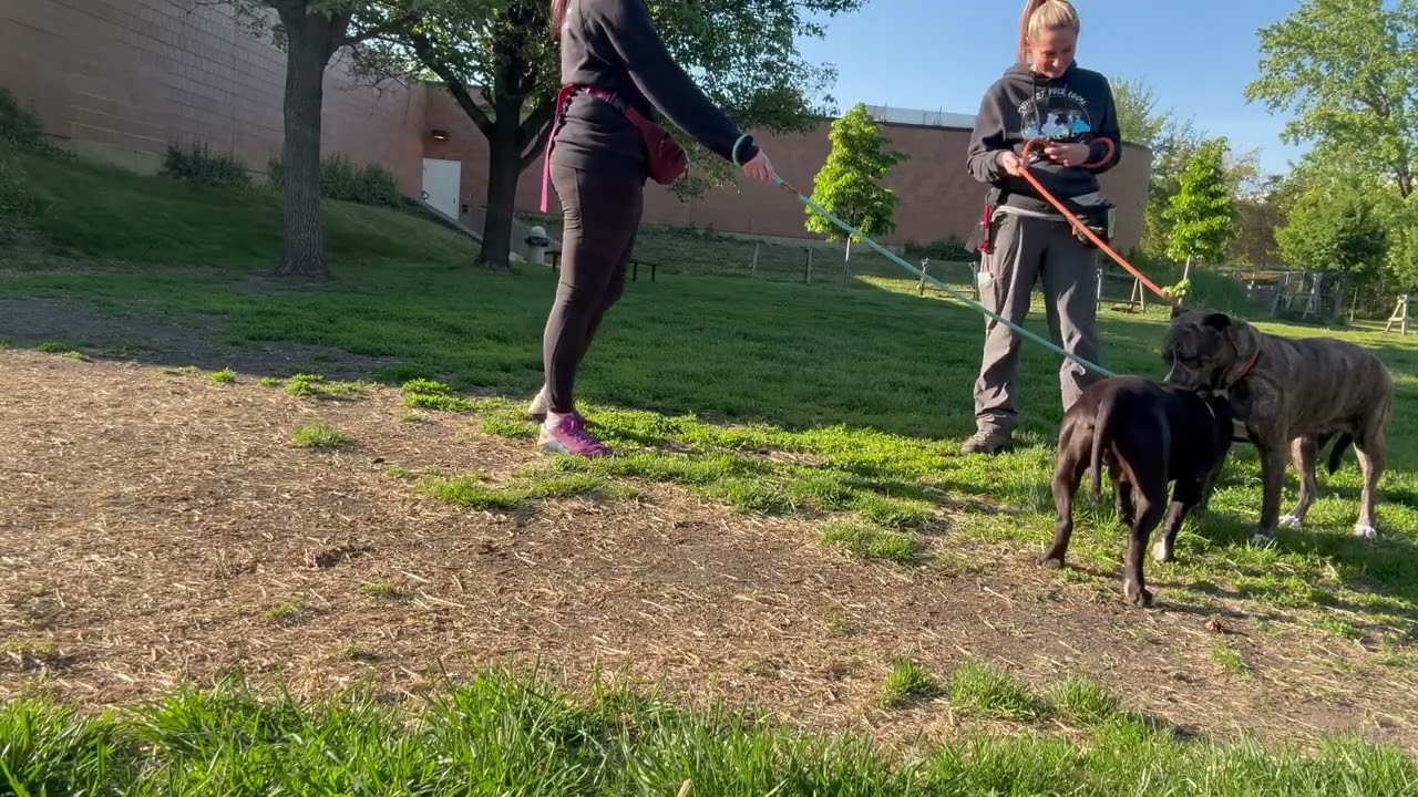Video Thumbnail