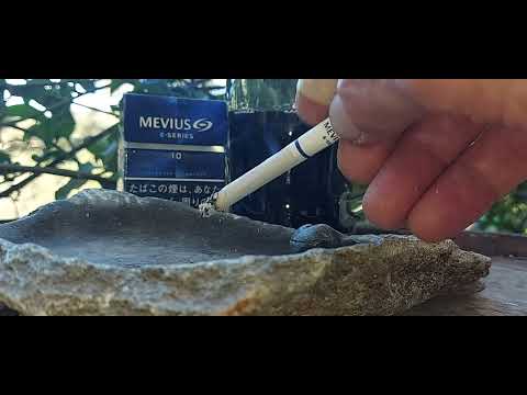 Mevius E Series 10's