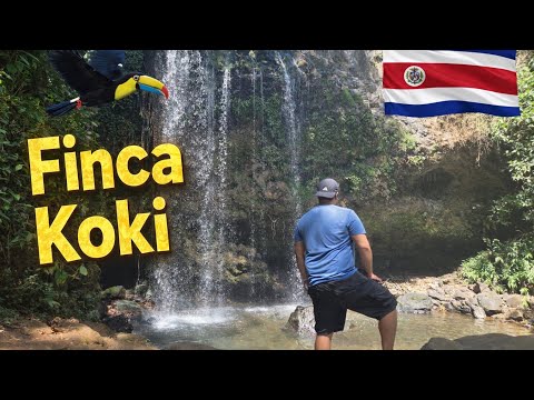 Me encontré un tucán: Finca Koki en Poás de Alajuela 
