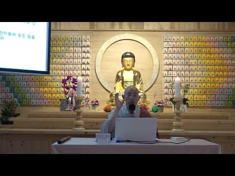 대행스님의 뜻으로 푼 천수경6(원아속지일체법~원아조득월고해)_청강(대원정사 주지)스님