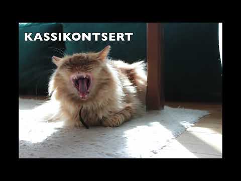 Liisa Tulvik - Kassikontsert