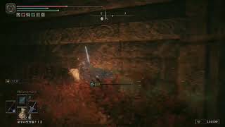 エルデンリングDLCをやる年単位ぶりの魔法剣士part6