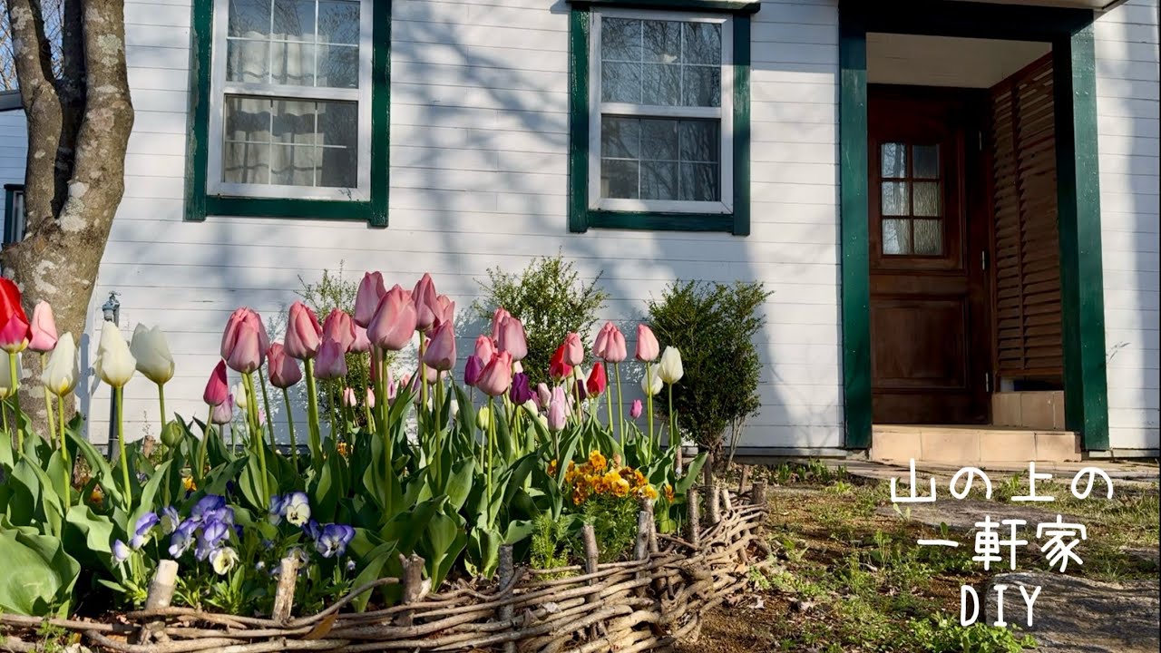 樹上でお花見と毎日会うご近所さん。短い春を長く感じたい。Seeing the cherry blossoms on the trees makes you feel the spring.