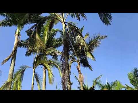 Região de Piracicaba Interior de São Paulo 🇧🇷🇧🇷