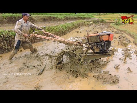 Still Tough! G600 Hand Tractor With Old Diesel Is Still Tough And Strong