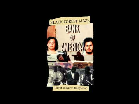 B.F.M. - Terror In North Hollywood (Harsh Noise/FuckYouTerrorElectronics)