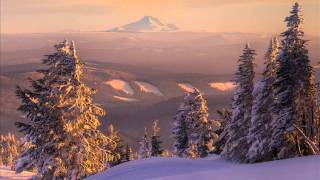 Tycho - Apogee [Awake]