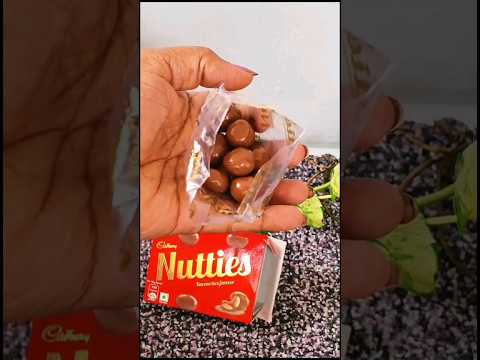 Nutties Chocolate / Cadbury #viral #trending #shorts