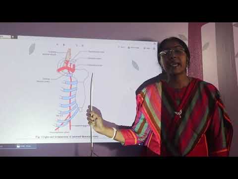 Lecture On Internal Thoracic Artery