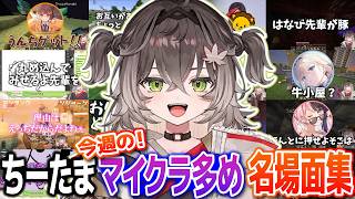 【週間まとめ】今週のちーたま名場面集！マイクラ多め！【ぶいすぽ切り抜き/龍巻ちせ/ちーたま/ぶいすぽ】