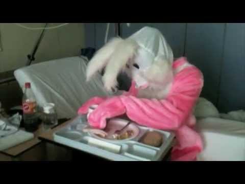 Hoppelnder Hase Knopf part 2