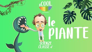 sCOOL - Scienze - Le Piante - VIDEO LEZIONE