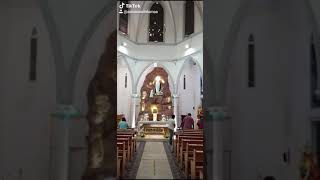 Download lagu Ummai Tedi Vanten Sumai || Vailankanni Matha Song || Tamil Catholic Song || இரக்கம் மிகுந்த தாயே.. mp3 Download lagu Ummai Tedi Vanten Sumai || Vailankanni Matha Song || Tamil Catholic Song || இரக்கம் மிகுந்த தாயே.. mp3
