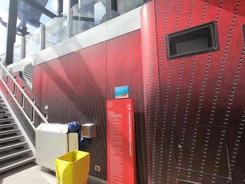 NCL VIVA Speedway Go Carts at Sea!