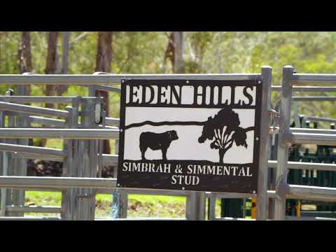 221 Hendrie Road, Upper Pilton, Darling Downs, 0 Bedrooms, 0 Bathrooms, Lifestyle Property
