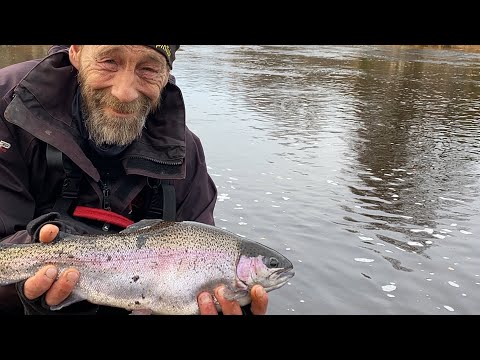 Syyskalastus Merikarvianjoella - Kirjolohi - Kalastus - Koskikalastus - Perhokalastus