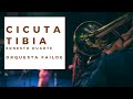 Cicuta Tibia - Orquesta Failde [Ernesto Duarte] | DANZONEANDO. En vivo desde Matanzas) 💃 🕺🏾