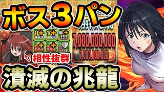 【潰滅の兆龍】シズ×シャナで凶兆攻略!! 特大火力でボス3パン!! 立ち回り解説【パズドラ】