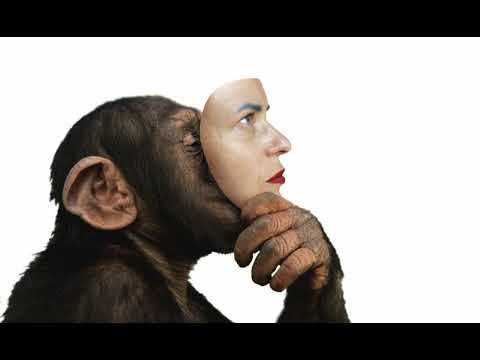 Radio Orange Kulturschiene 08.09.2006 - sirene Operntheater: Circus