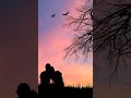 Darkhaast Arijit Singh Shorts Darkhaast By Arijit Singh And Sunidhi Chauhan Trending Sadsong Yt