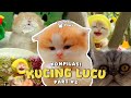 KOMPILASI KUCING LUCU MENGGEMASKAN PART 2 LULU MOCHA MEMET