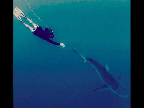 Xavier Rudd - Soften The Blow