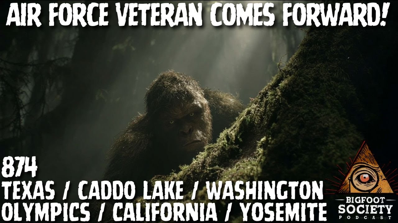 Lichen Fell From Its Face | Washington