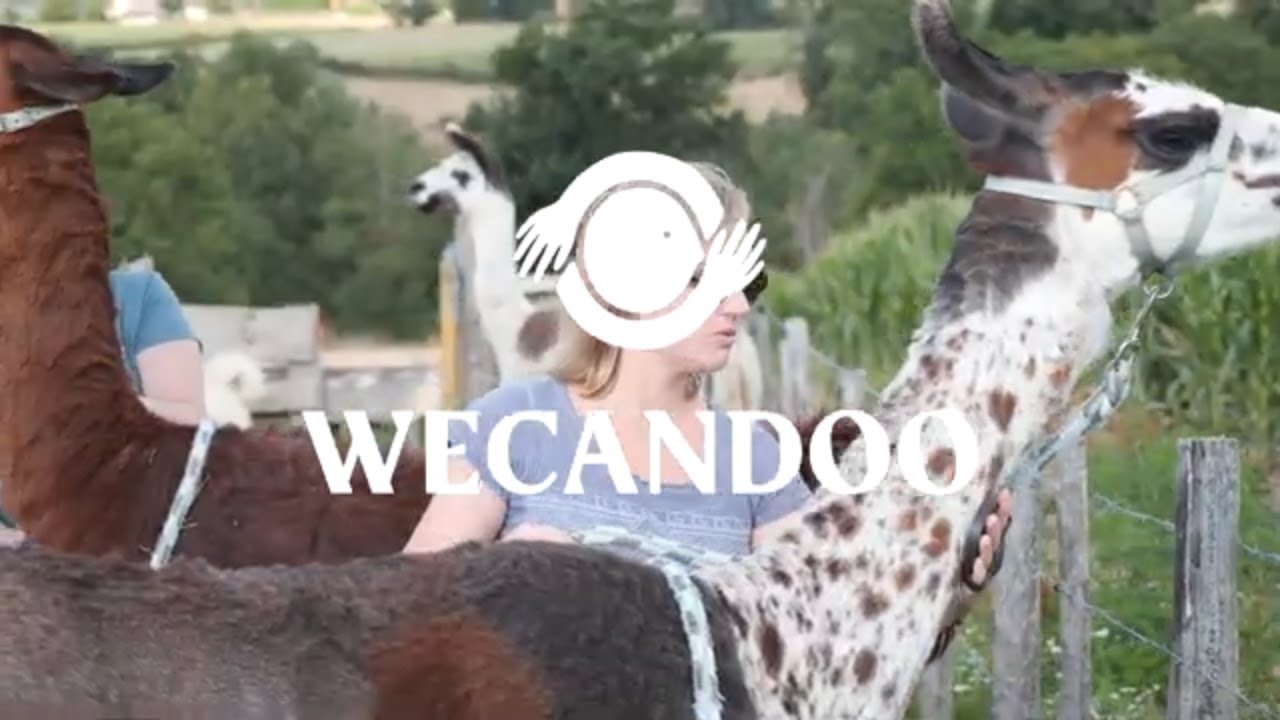 Découvrez un élevage de lamas et transformez la laine - Video