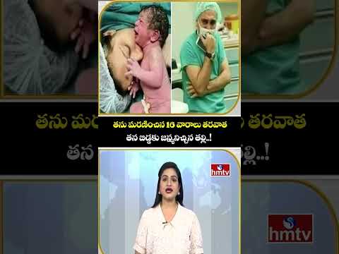 TO THE POINT : తను మరణించిన 16 వారాలు తరవాత తన బిడ్డకు జన్మనిచ్చిన తల్లి..! | hmtv
