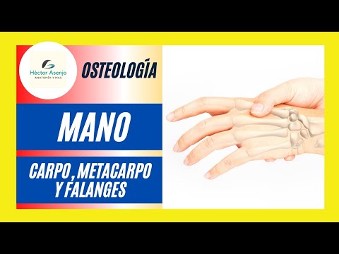 Tecnica ricarica osteocondrosi Mal di hip sintomi della malattia articolare