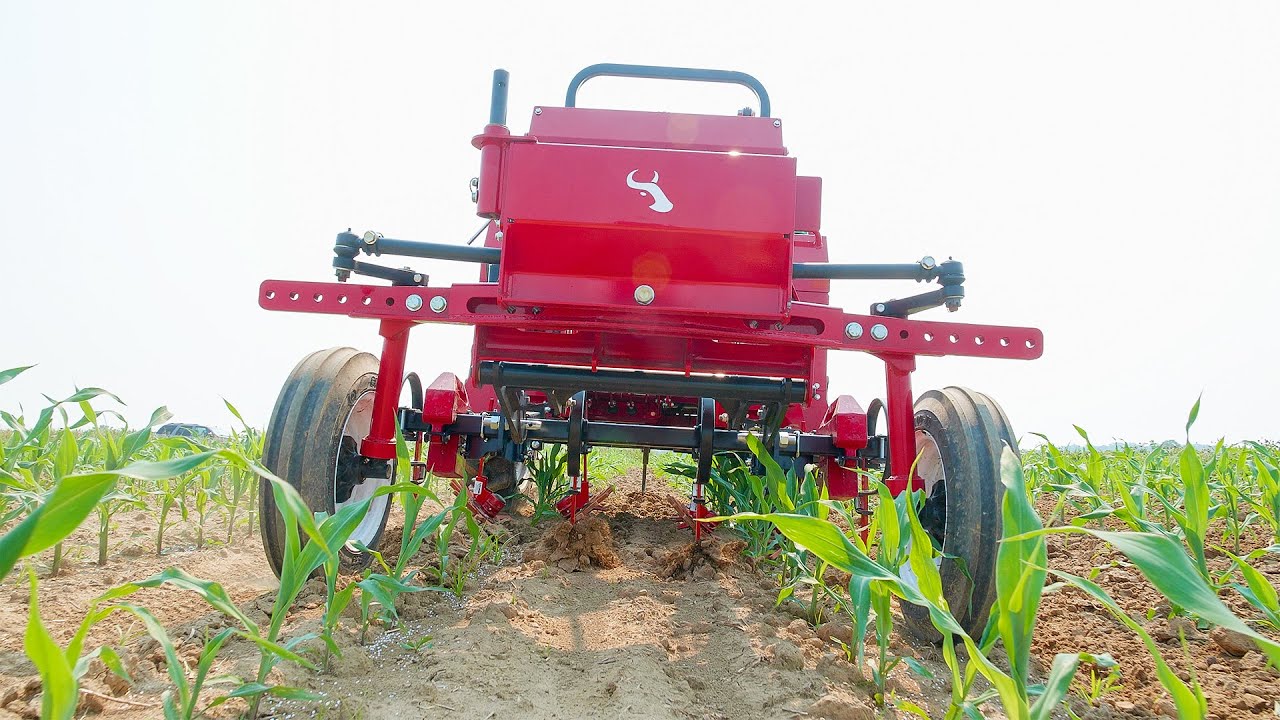 520 Tractor Finger Weeding Corn