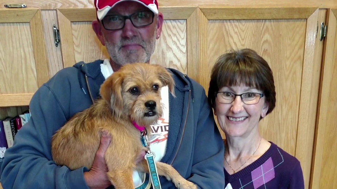 The NOAH Center with Wings of Rescue