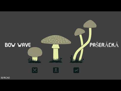 Bow Wave - Pašerácká