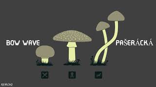 Videoklipy interpreta Bow Wave