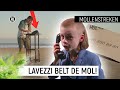 GIGA HINT IN TELEFOONNUMMER VAN DE MOL!? | Mollenstreken | seizoen 4 #7 | NPO Zapp