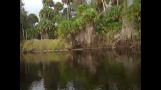 preview picture of video 'air boat ride in Florida'