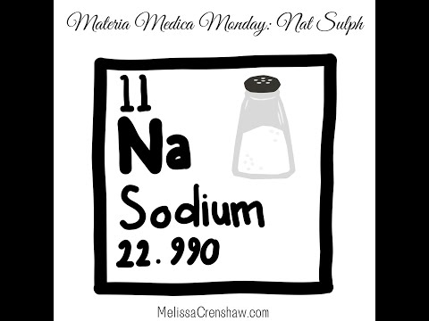 The Healing Power of Nat Sulph and Other Cell Salts