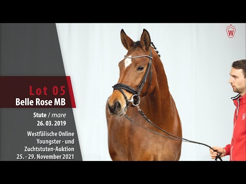 Youngster- und Zuchtstuten-Auktion Lot 05 Belle Rose MB Stute v. Benicio -   Franziskus