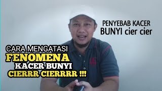 Download lagu How to Overcome Kacer's Cier Sound mp3