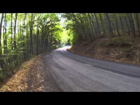 Vigh Csaba 4000 v8 a fák között !