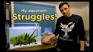 My Aquarium Struggles - Aquascaping Studio Vlog