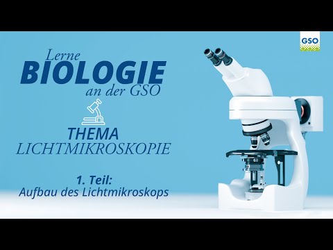 AUFBAU DES LICHTMIKROSKOPS | TEIL 1 | Lerne BIOLOGIE an der GSO