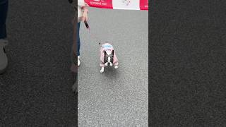 北渋RunRunフェスタで頑張りました♪