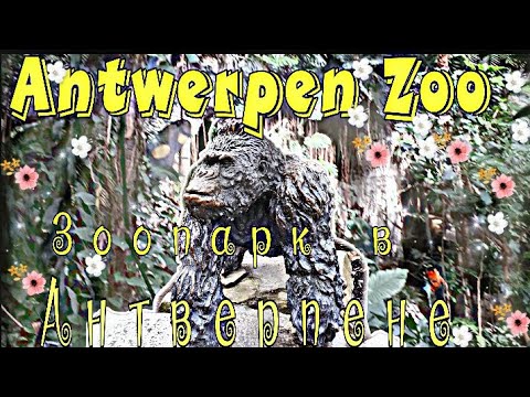 🐒обезьяны || Зоопарк в Антверпене|| ботанический сад || Бельгия 2019