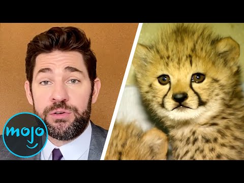 2020年真正發生的10件好事情 (Top 10 GOOD Things That Actually Happened in 2020)