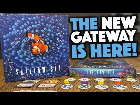 Shallow Sea - Is This the Best Gateway Game Right Now?