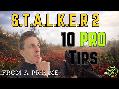 Dominate STALKER 2: 10 Pro Tips You Can't Miss!