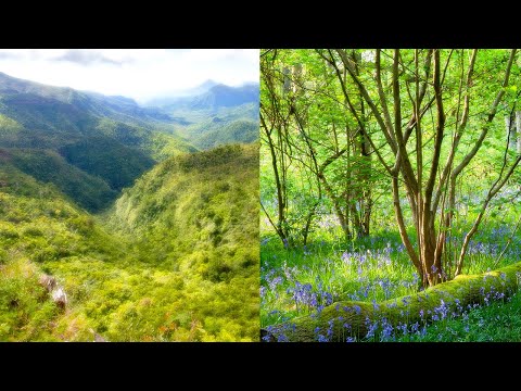 YouTube video about Enhance Your Photos with the Enchanting Orton Effect