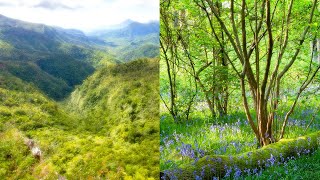A dreamlike glow for your photos (Orton effect tutorial for landscape photos)