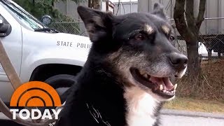 Shelter dog turns into K9 hero